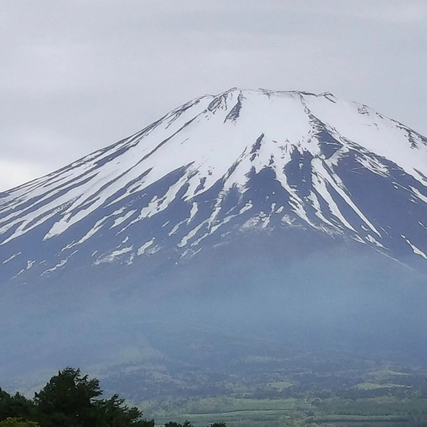 事業効率化支援